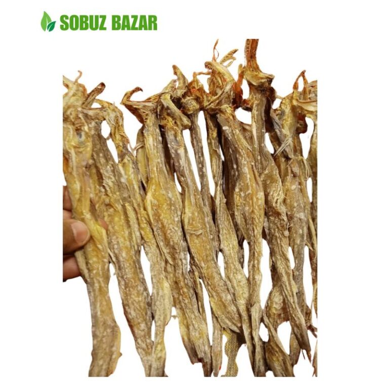 গুজরাটের লইট্টা (মিডিয়াম সাইজ)